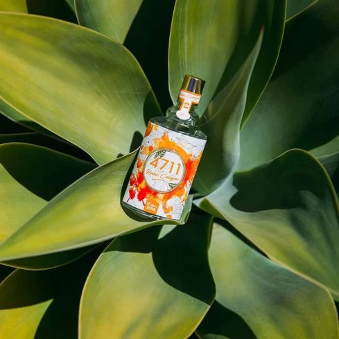 ORANGE EDC NATURAL SPRAY 100 ML